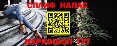 гидра Донецк