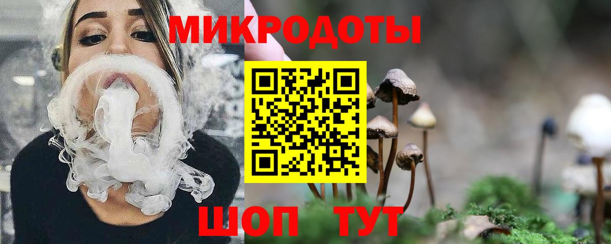 Галлюциногенные грибы Psilocybe Менделеевск