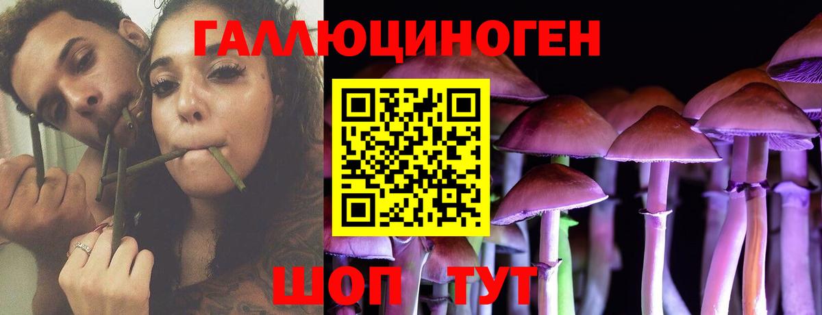 Менделеевск  хочу наркоту  Вход с VPN  Псилоцибиновые грибы прущие грибы 