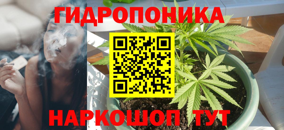 Бошки марихуана план Менделеевск