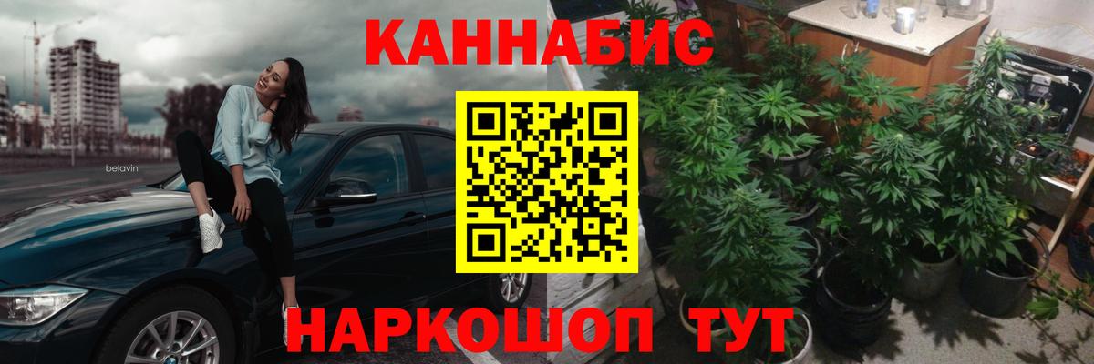 Шишки марихуана тримм  Бошки марихуана семена  Менделеевск  Вход с VPN  Конопля семена  Бошки Шишки тримм 